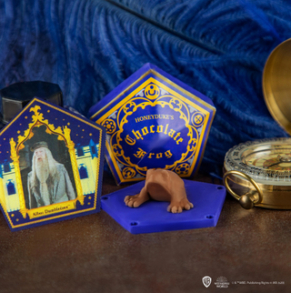 Gomee Unique Chocogrenouille | Sorcière et Magie