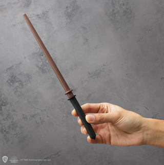 Porte Stylo Baguette et Signet Drago Malfoy | Sorcière et Magie