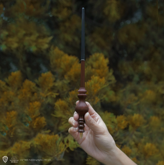 Porte Stylo Baguette et Signet Professeur McGonagall | Sorcière et Magie
