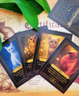 Oracle des Magikanimal Extension 4 Cartes | Sorcière et Magie