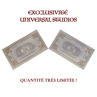 Paire de Billets Officiels du Poudlard Express™ – Exclusivité Universal Studios™ | Sorcière et Magie