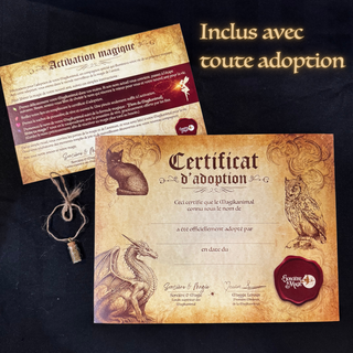 Lili | Magikanimal - Sorcière et Magie