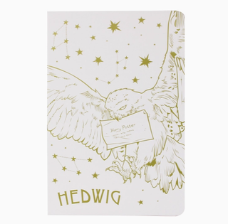 Carnet De Notes Hedwige | Sorcière et Magie