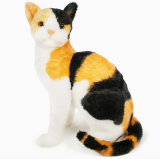 Cat-Alina | Sorcière et Magie