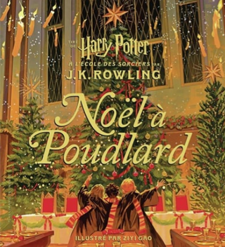 Livre Noël à Poudlard | Sorcière et Magie