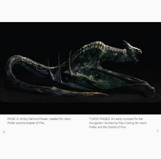 L'art d'Harry Potter : Mini-Livre de Créatures | Sorcière et Magie