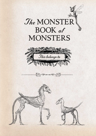 Carnet Peluche – Monster Book of Monsters (livre des monstres) | Sorcière et Magie