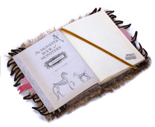 Carnet Peluche – Monster Book of Monsters (livre des monstres) | Sorcière et Magie