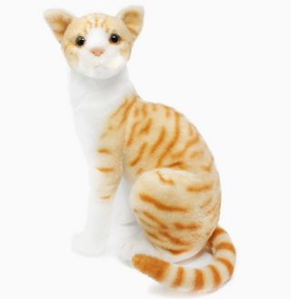 Wesley | Sorcière et Magie