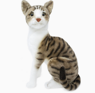 Aby | Sorcière et Magie