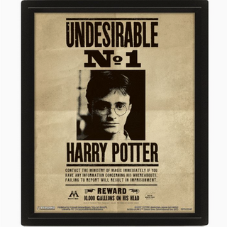 3D Frame - Harry/Sirius