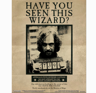 3D Frame - Harry/Sirius