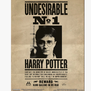 Affiche 3D Lenticulaire - Indésirable/Sirius | Sorcière et Magie