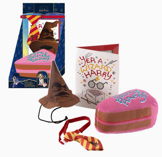 Ensemble Anniversaire Pour Chiens - Happee Birthdae Harry | Sorcière et Magie