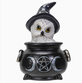 Hibou Dans Le Chaudron | Sorcière et Magie