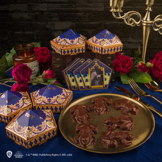 Set of 6 Chocolate Frog Molds