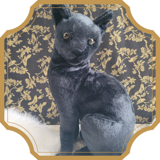 Salem | Sorcière et Magie