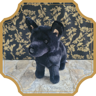 Blacky | Sorcière et Magie