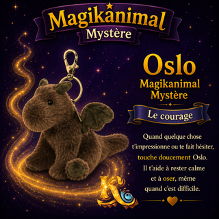 Magikanimal Mystère | Sorcière et Magie