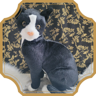 Toxon | Sorcière et Magie