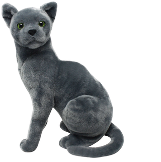 Bloom | Sorcière et Magie