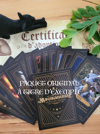 Oracle des Magikanimal Extension 4 Cartes | Sorcière et Magie