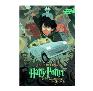 Harry Potter et la Chambre des Secrets Édition 2023 - Format Junior  | Sorcière et Magie