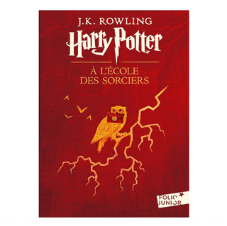 Harry Potter à l'École des Sorciers Édition 2017 - Format Junior | Sorcière et Magie