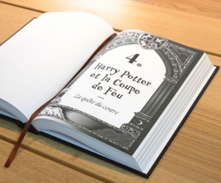 Livre La Saga Harry Potter: La Magie De La Narration | Sorcière et Magie