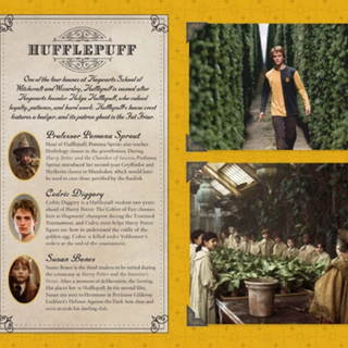 Carnet De Poche - Poufsouffle | Sorcière et Magie