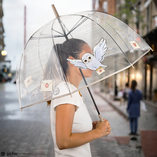 Parapluie Transparent Hedwige™ | Sorcière et Magie