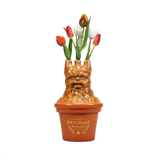 Mandrake Vase